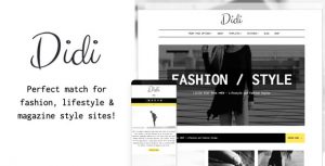 Didi WordPress Theme documentation image