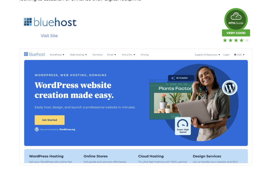 Bluehost howtohosting.guide Bewertung