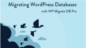 WP Migrate DB image