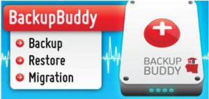 Backup Buddy image