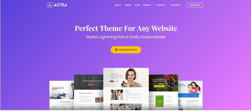 Astra WordPress Theme