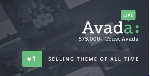 Avada WordPress Theme Bild