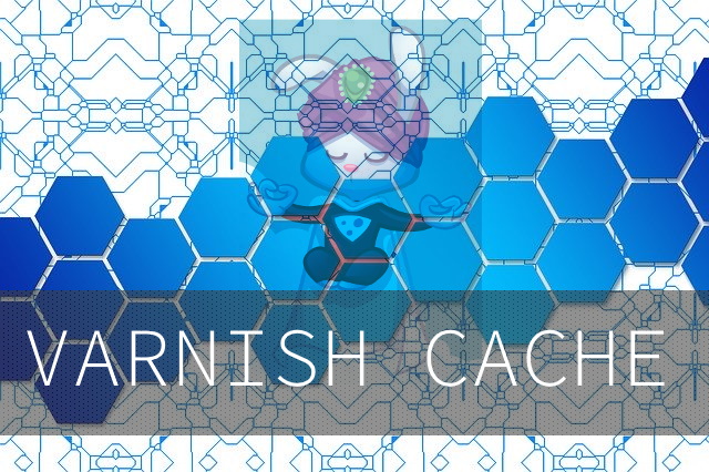 Varnish cache article image