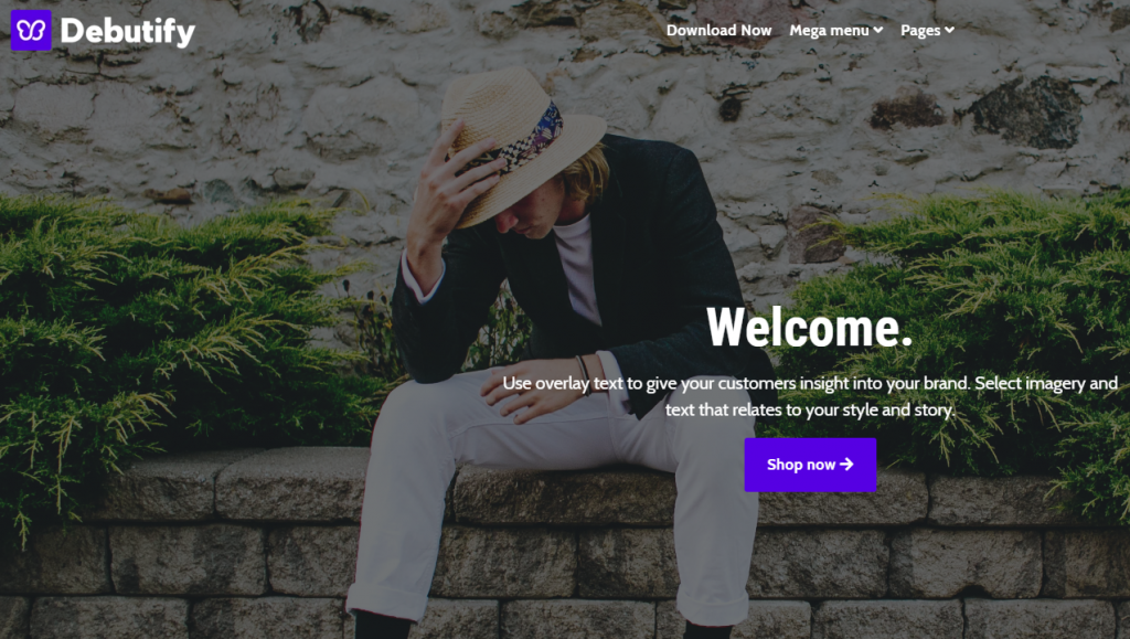 Shopify Themes