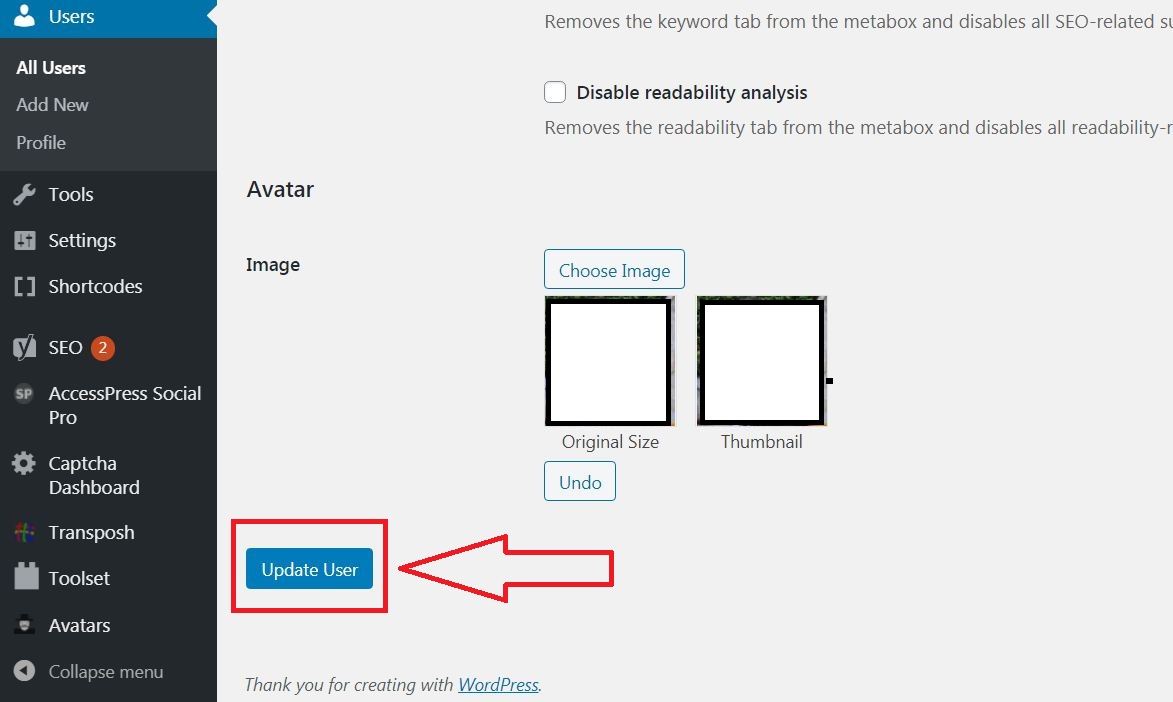 update user in wordpress