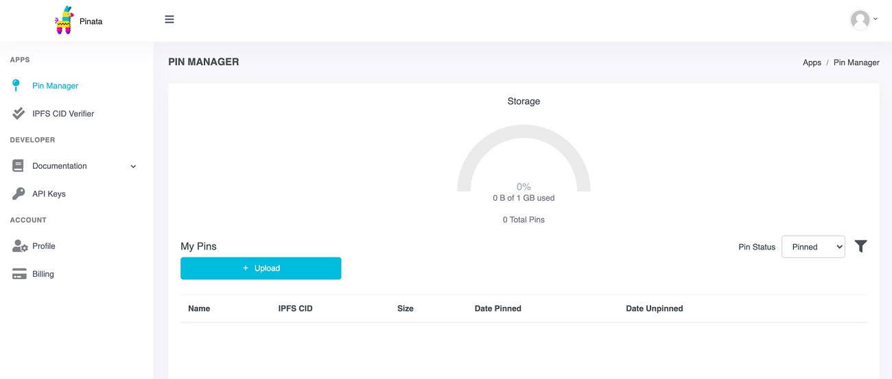 Pinata-cloud-pin-manager-howtohosting-guide