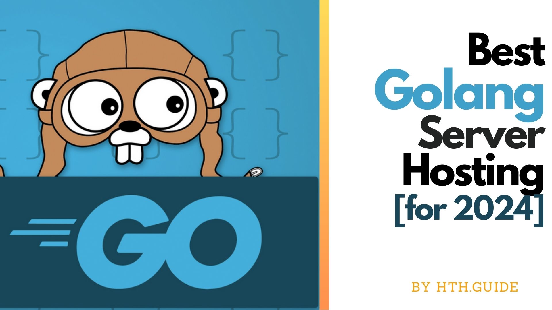 6 Best Golang Hosting Providers