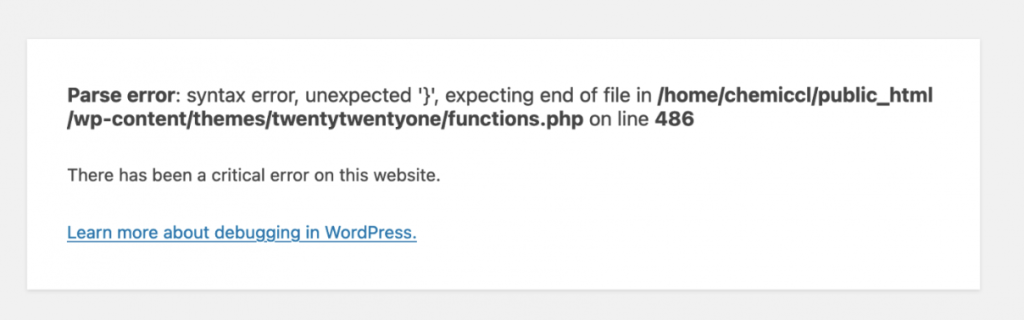 Erro de sintaxe do WordPress