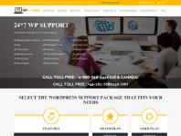 24x7WPSupport.com