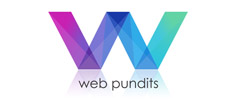 Web Pundits